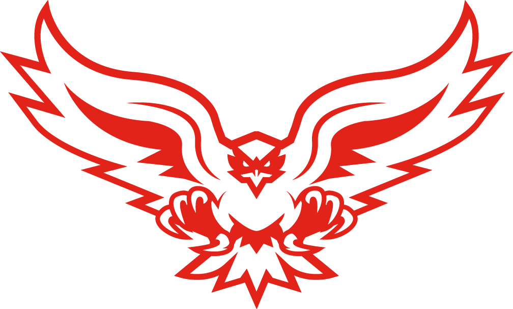 Hartford Hawks 2015-Pres Alternate Logo 01 iron on paper